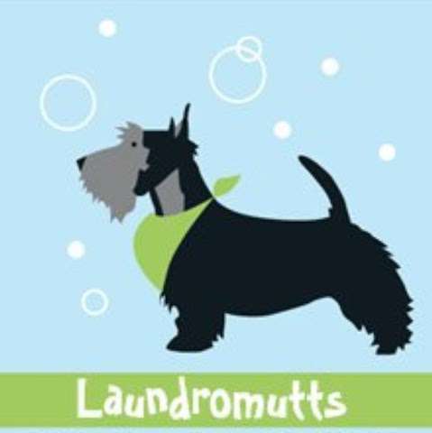 Laundromutts Dog Grooming photo